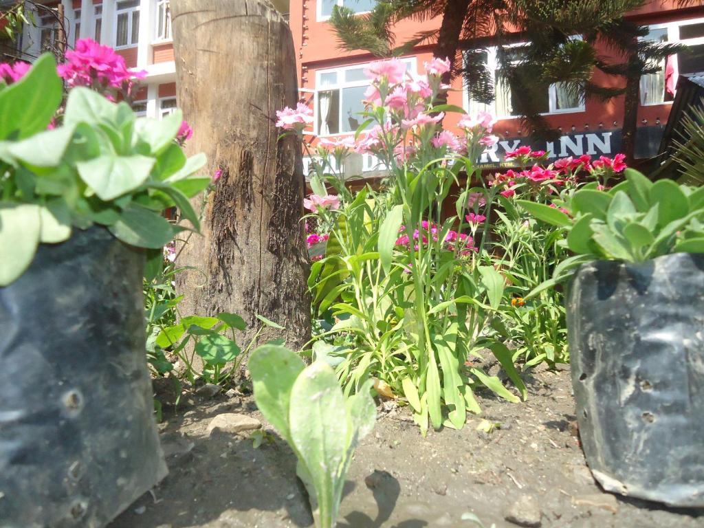 Hotel Discovery Inn Kathmandu Exterior photo